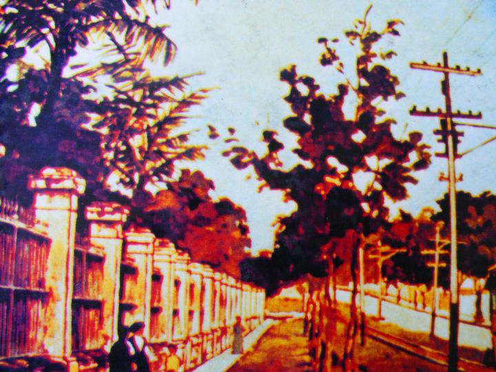 biblioteca 075 copy.jpg